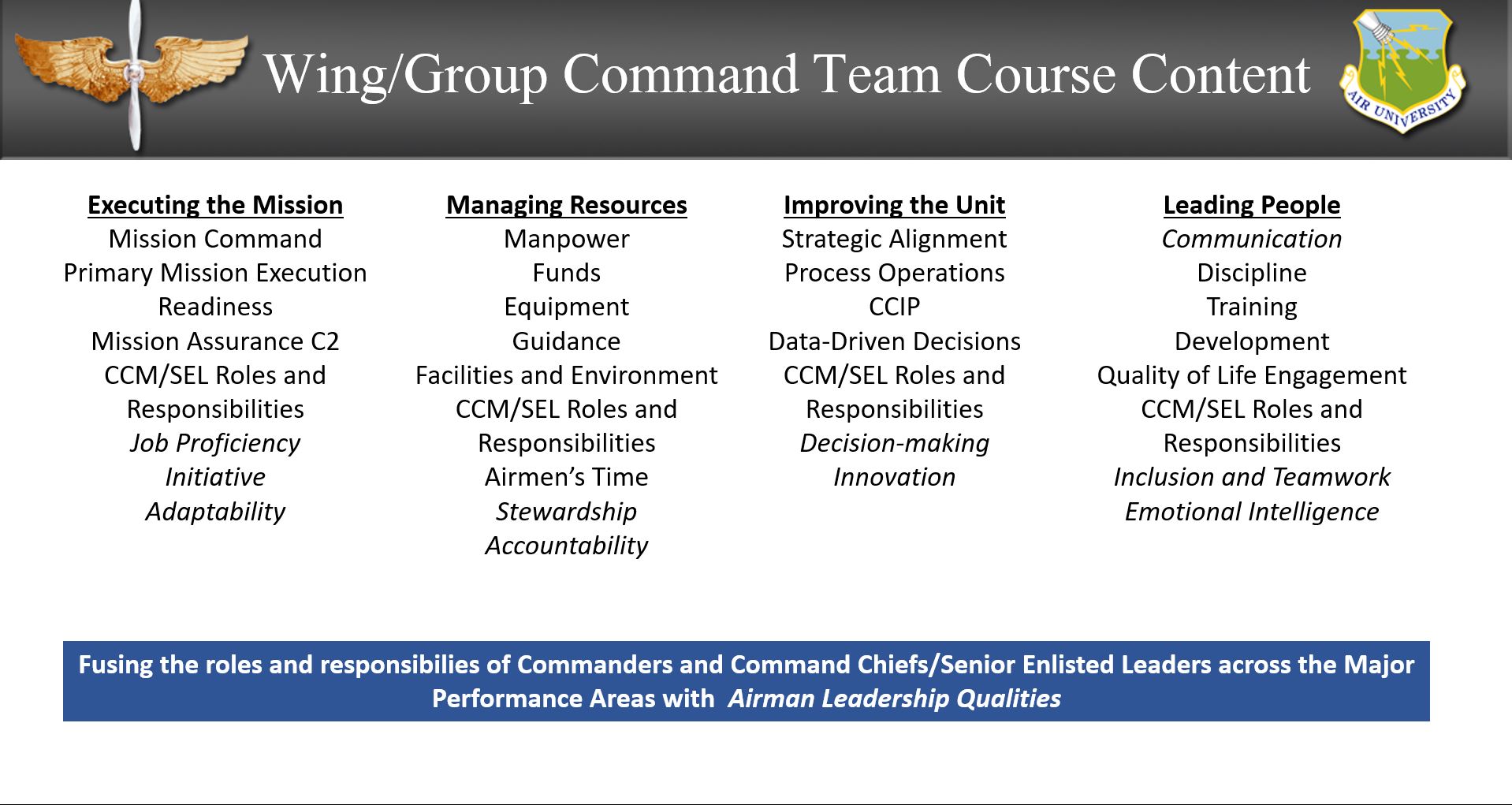 Wing/Group Command Team Course Content
